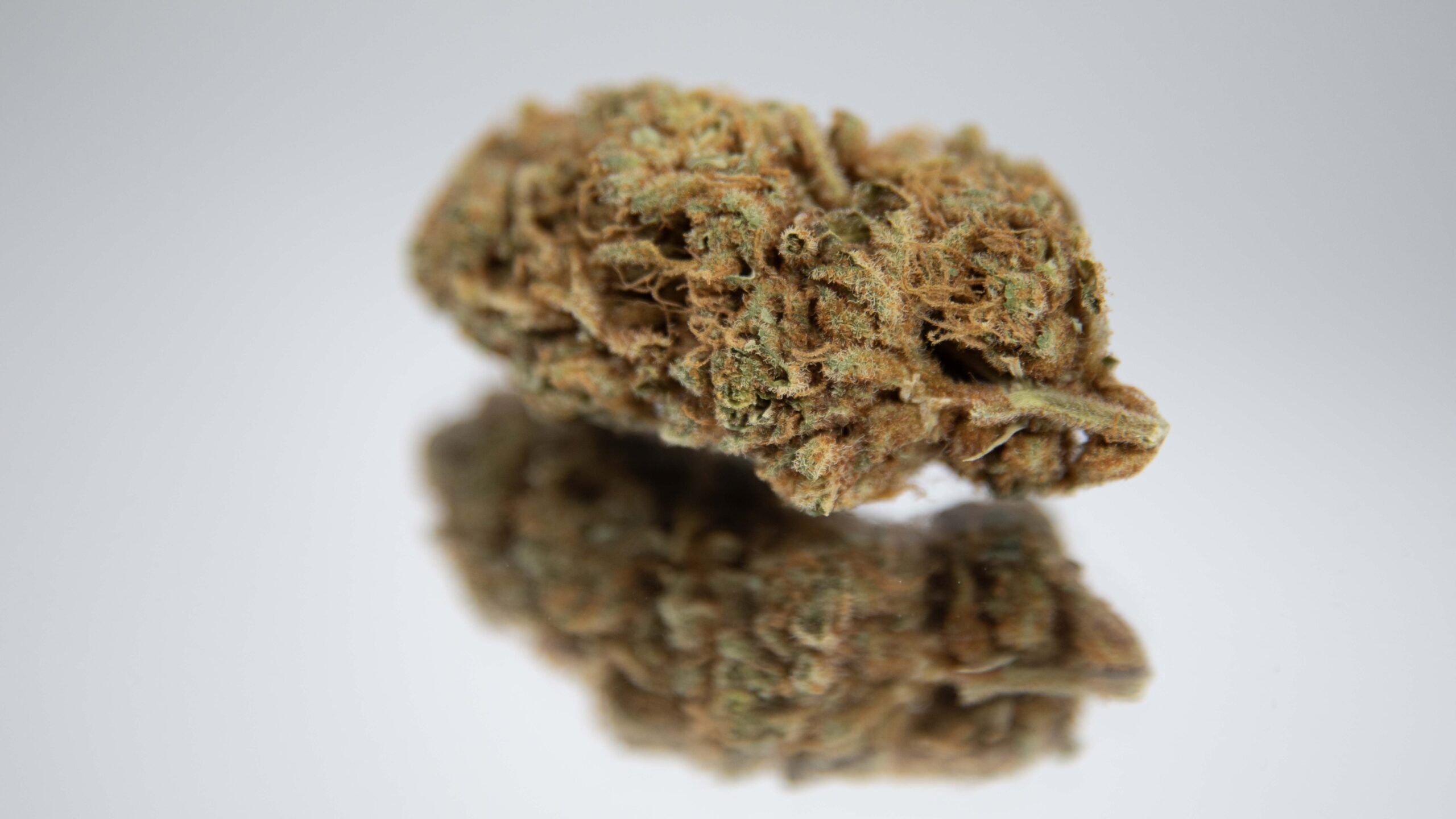 Awards for Cannabis Cultivators: Celebrating Excellence in 2024